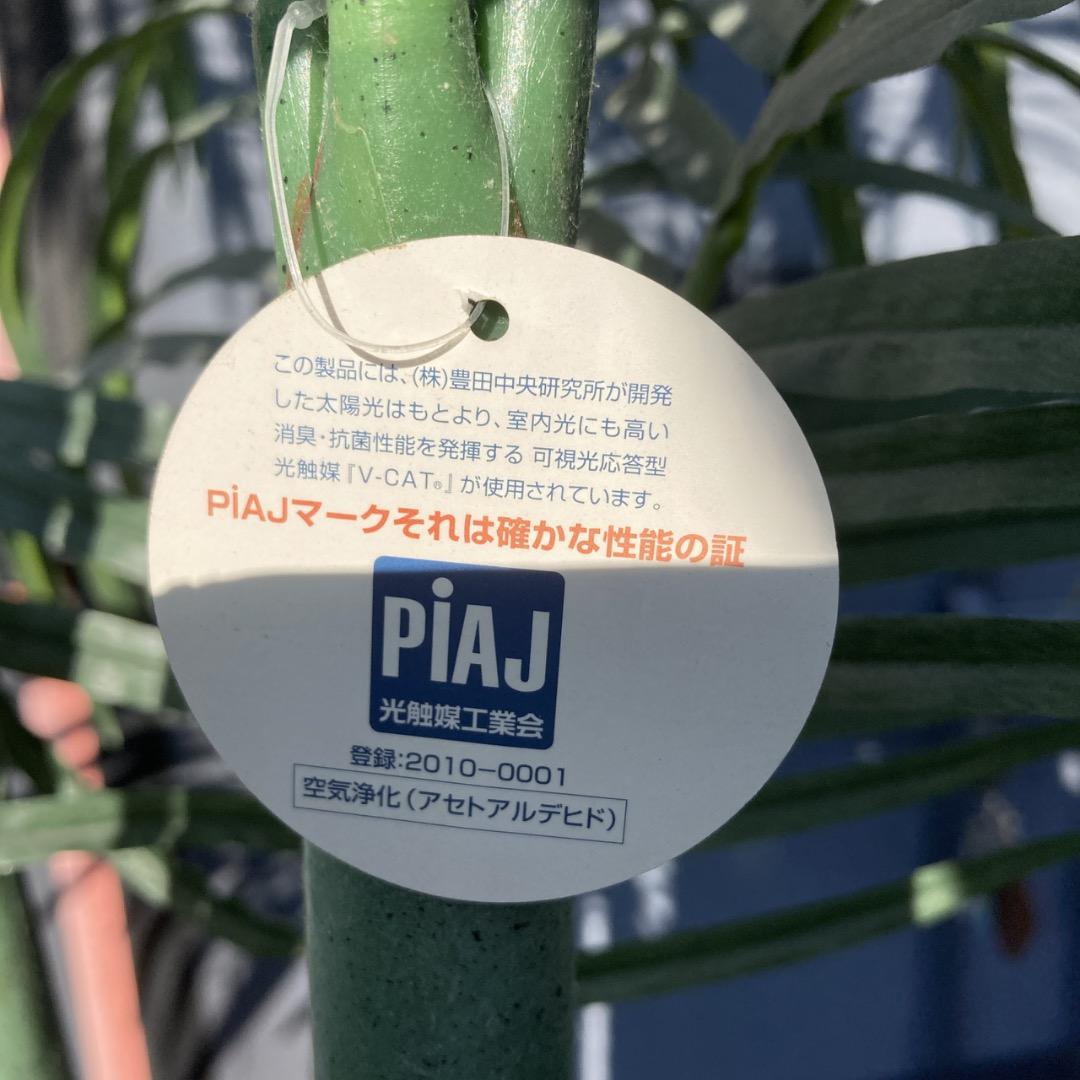 【お値下げOK】大型フェイクグリーン 光触媒人工植物 光の楽園 高さ約270cm