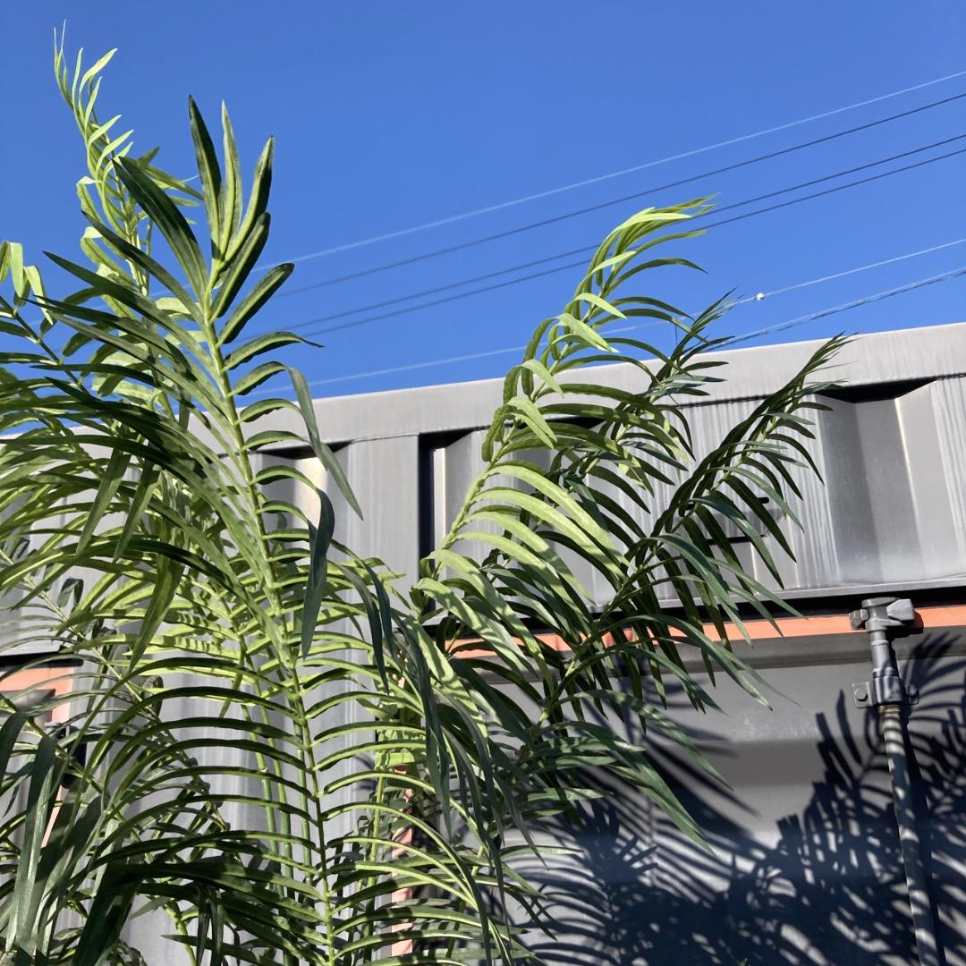 【お値下げOK】大型フェイクグリーン 光触媒人工植物 光の楽園 高さ約270cm