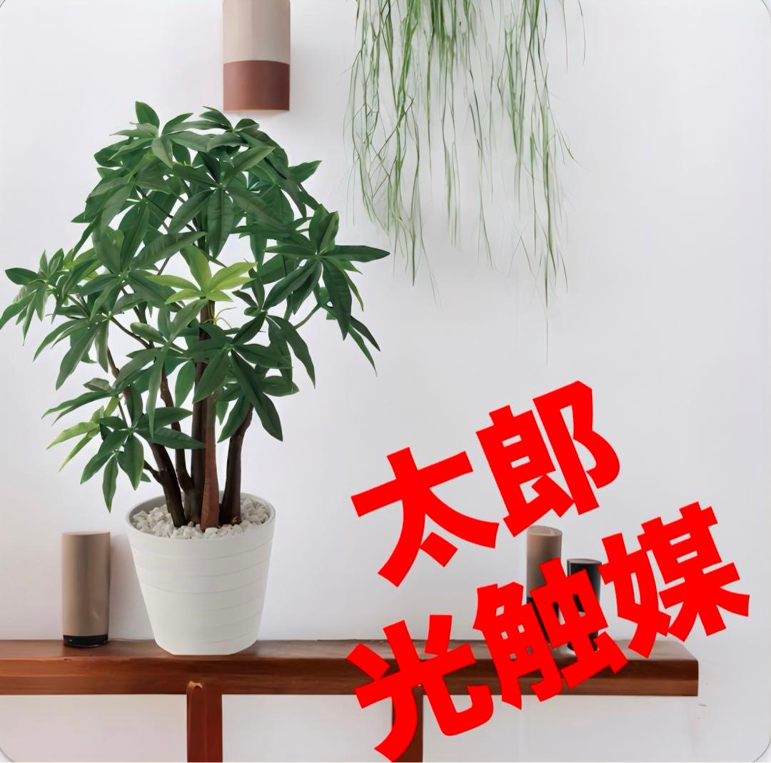 光触媒　人工観葉植物　ウォールグリーン　フェイクグリーン　パキラポット55