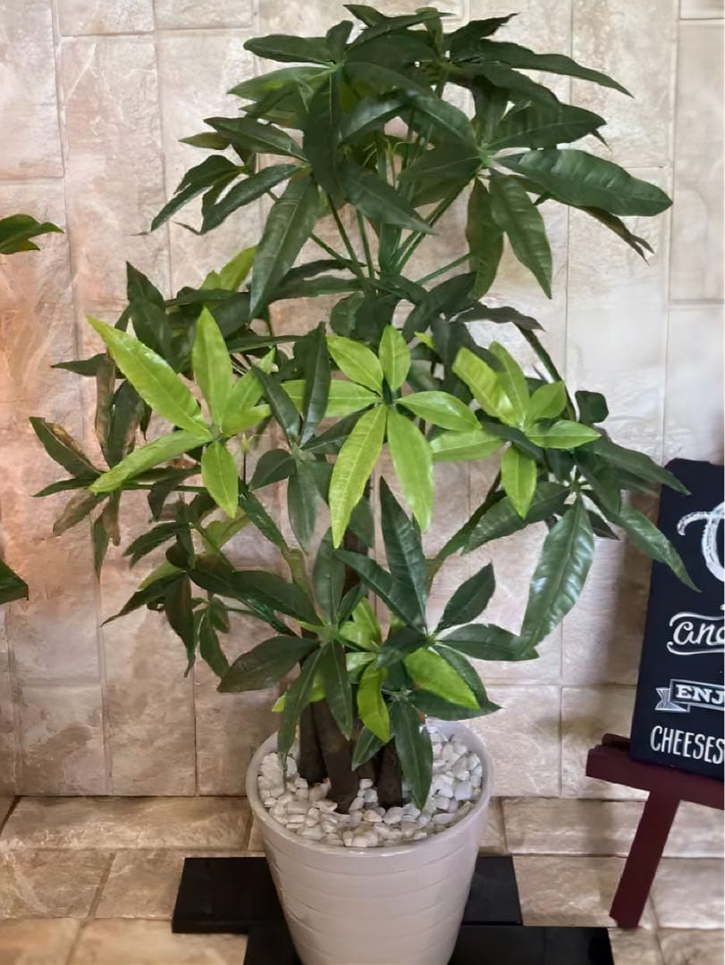 光触媒　人工観葉植物　ウォールグリーン　フェイクグリーン　パキラポット55