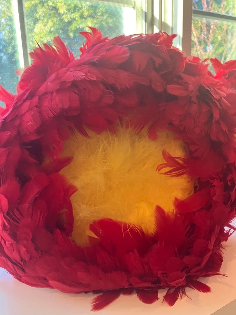 ウリウリ　フラダンス用