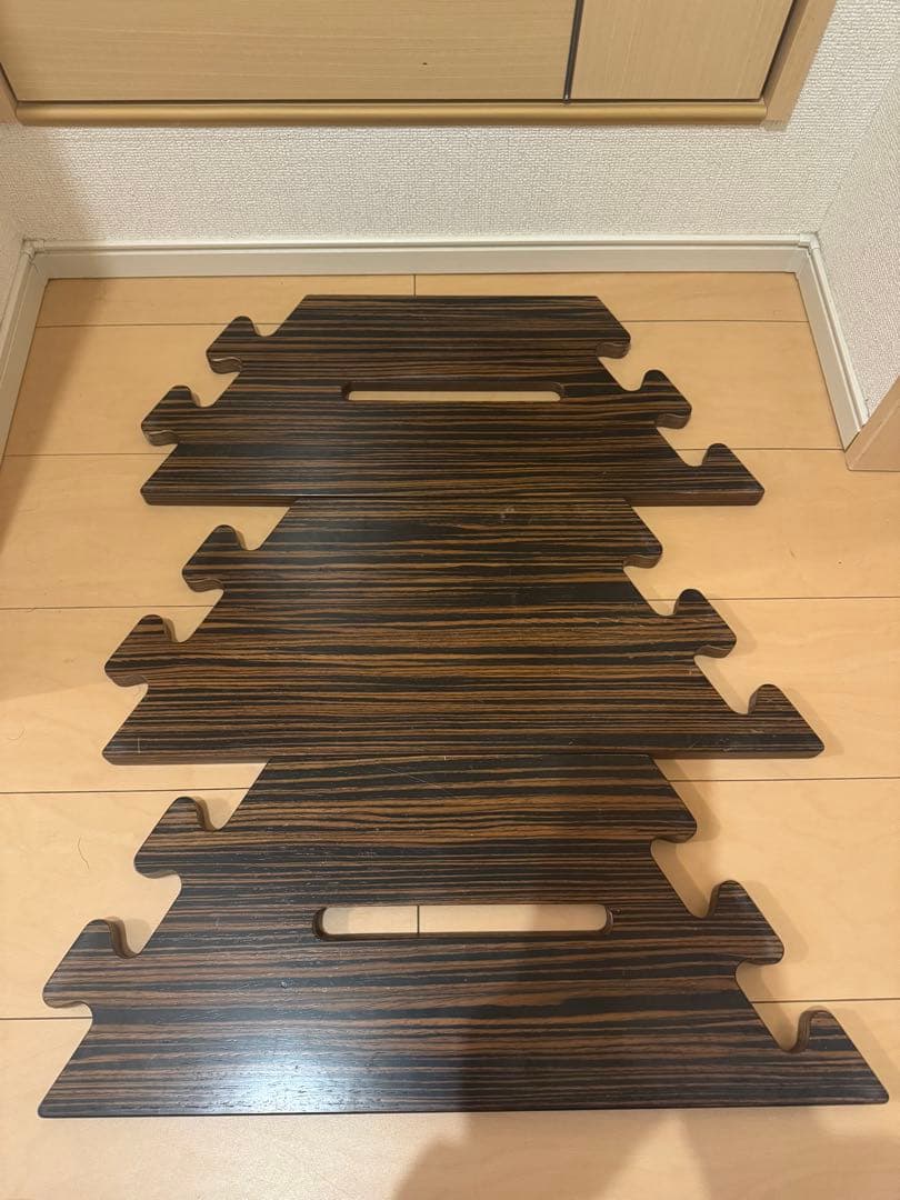 WARUしま次郎　the arth ケース付き