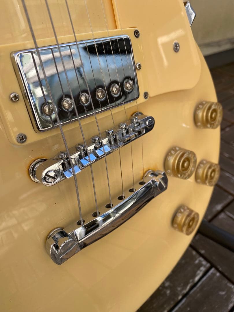 レスポールタイプ(エレキギター)