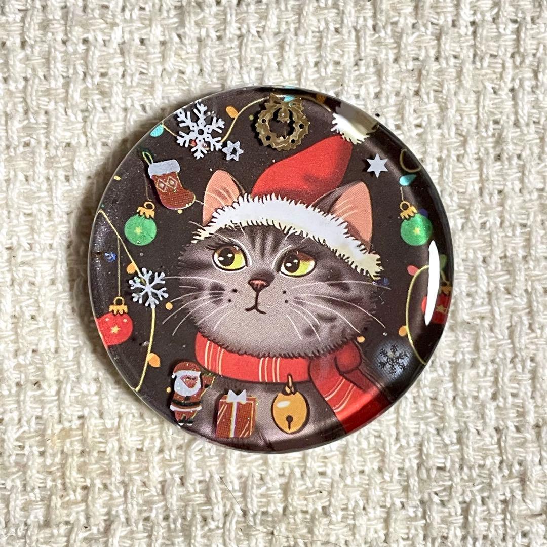 2579. 【大】レジンポニーフック・ヘアゴム・ブローチ・マグネット