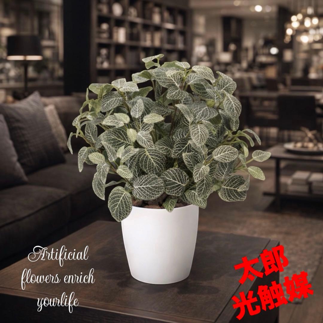 光触媒　人工観葉植物　ウォールグリーン　フェイクグリーン　フィットニアM