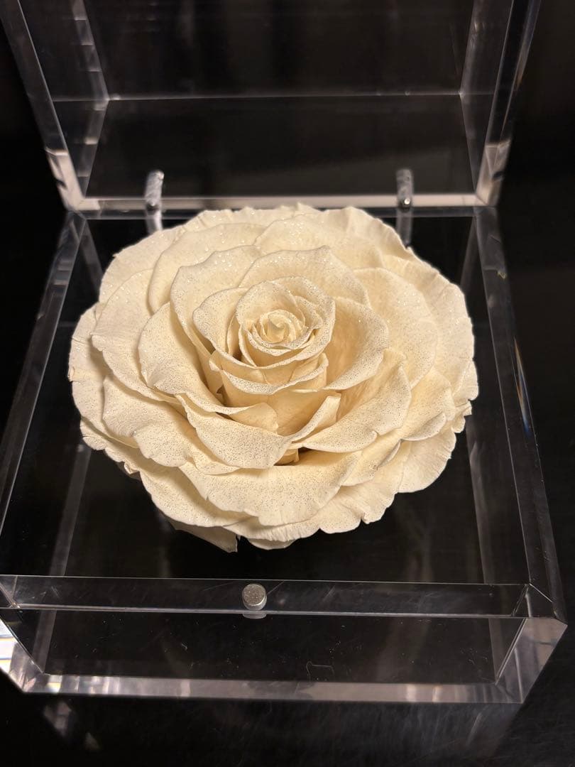 【新品】ローズギャラリー ダイヤモンドローズ クリアケース ホワイトローズ￼