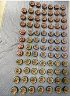 CIAOチャオ　いなばペットフード 猫缶　近海まぐろ、近海かつお