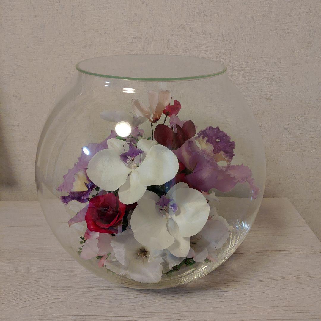 レンデフロール（C-V）