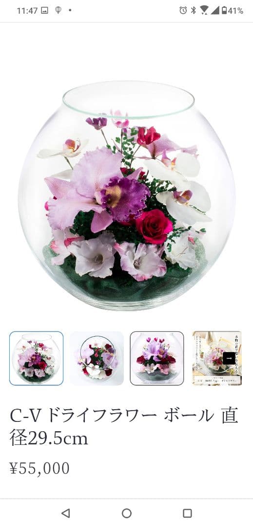 レンデフロール（C-V）