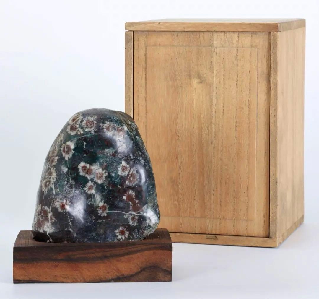 菊花石 菊紋石 小菊 紋石 台座 箱付 1kg 鑑賞石 原石 自然石 美石 水石