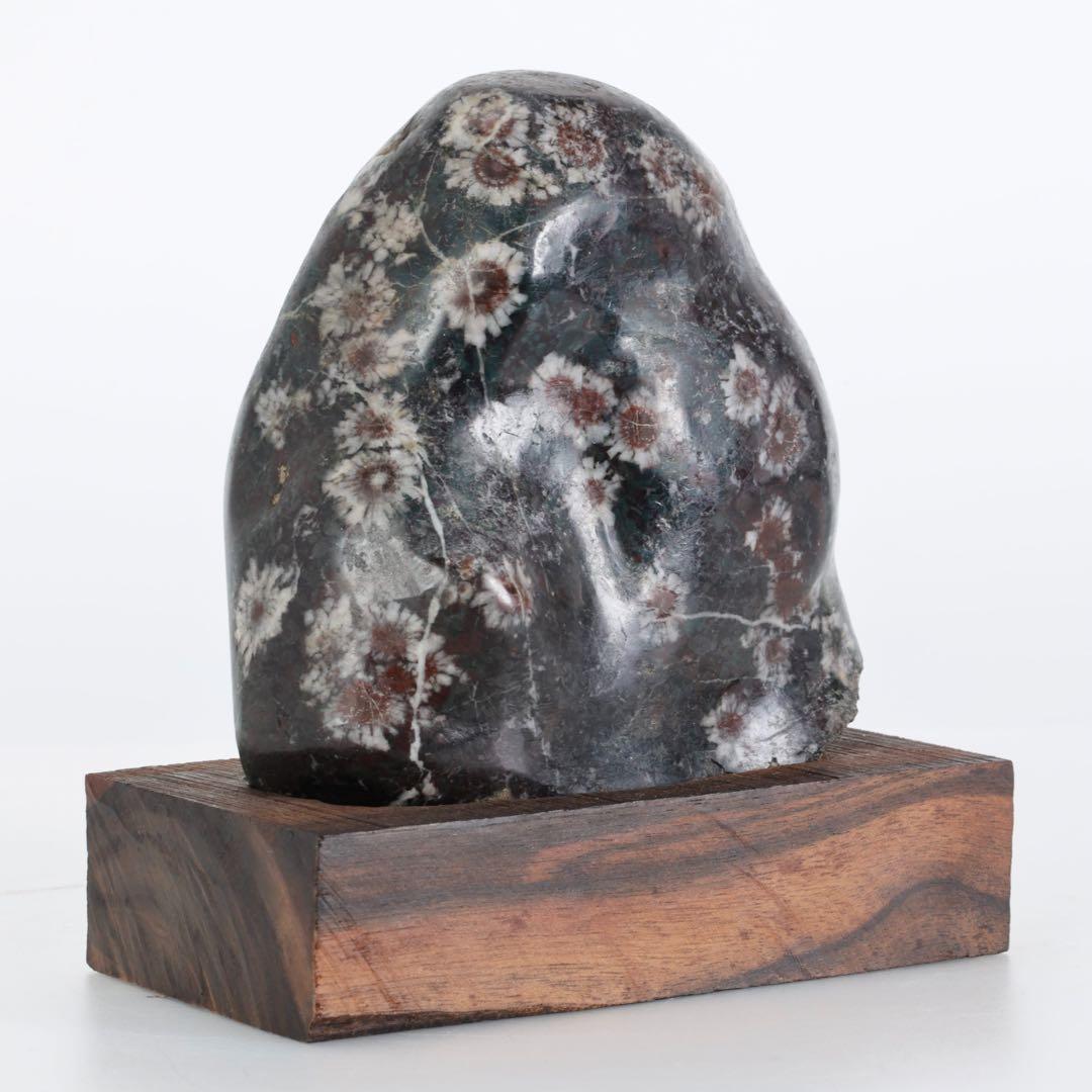 菊花石 菊紋石 小菊 紋石 台座 箱付 1kg 鑑賞石 原石 自然石 美石 水石