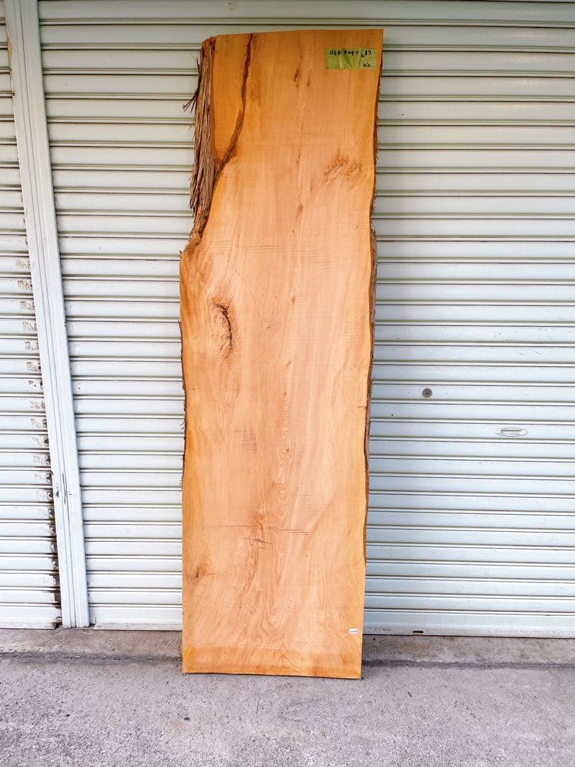 天然　槙　木材　天板　無垢材　一枚板　テレビ台　ベンチ　カウンターテーブル