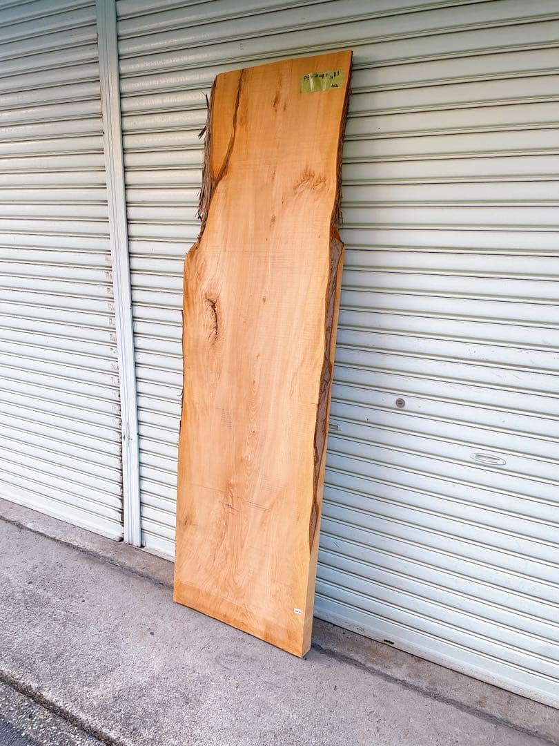 天然　槙　木材　天板　無垢材　一枚板　テレビ台　ベンチ　カウンターテーブル