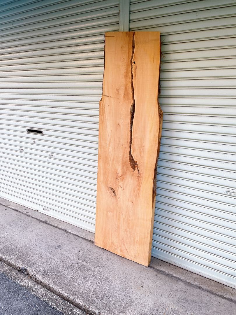 天然　槙　木材　天板　無垢材　一枚板　テレビ台　ベンチ　カウンターテーブル