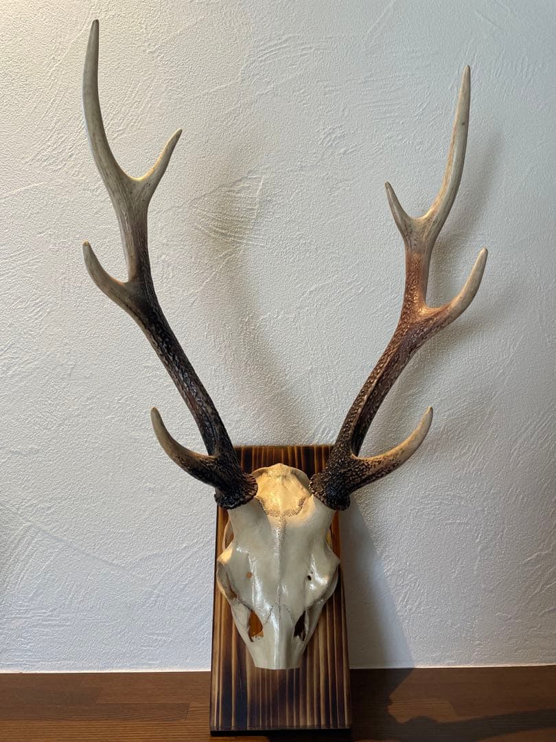 ハンティングトロフィー　ハンドメイド 鹿の頭骨と角 壁掛け装飾品