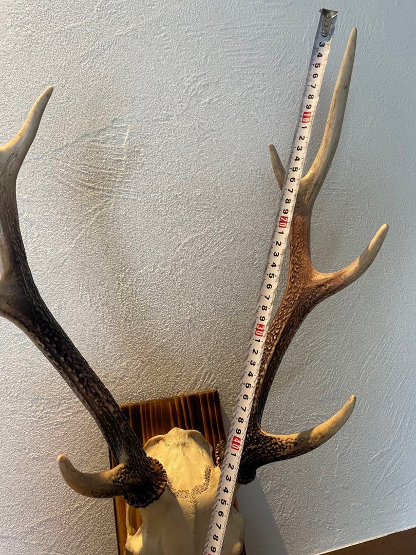 ハンティングトロフィー　ハンドメイド 鹿の頭骨と角 壁掛け装飾品