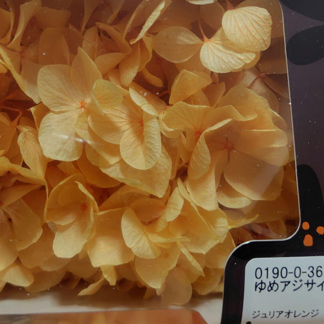 日本製　プリザーブドフラワー　大地農園　あじさい　EARTHMATTERS