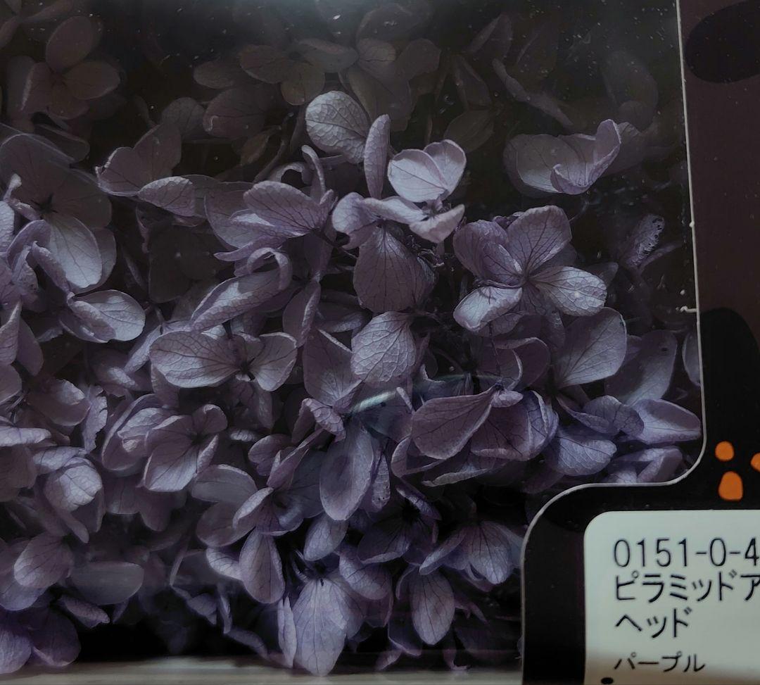 日本製　プリザーブドフラワー　大地農園　あじさい　EARTHMATTERS