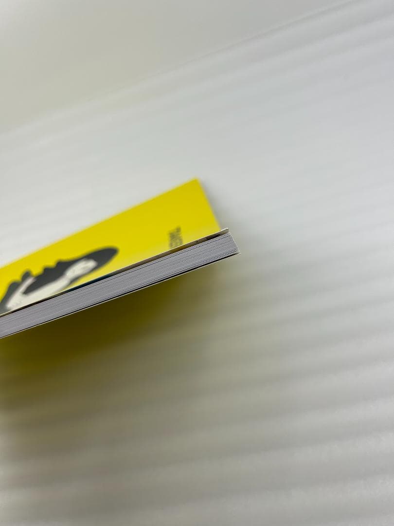 天野タケル 『Venus』複製原画サイン入り NEON GREEN +イラスト集