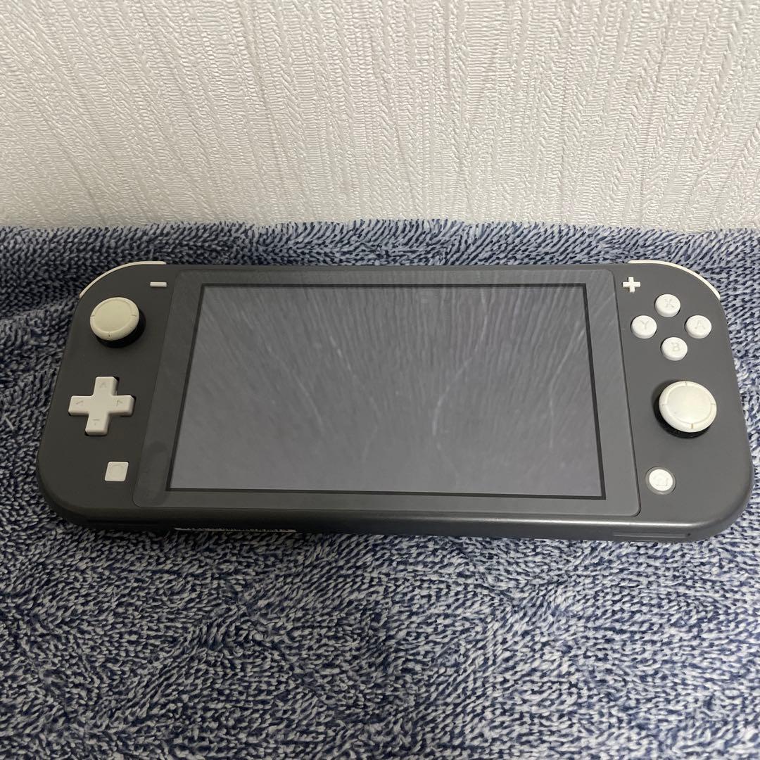 Switchライト本体