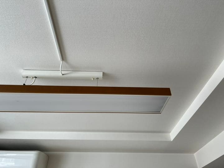 大光電機　ペンダント　蛍光灯商品