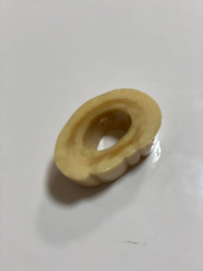 ウニコール　一角鯨牙　送料無料