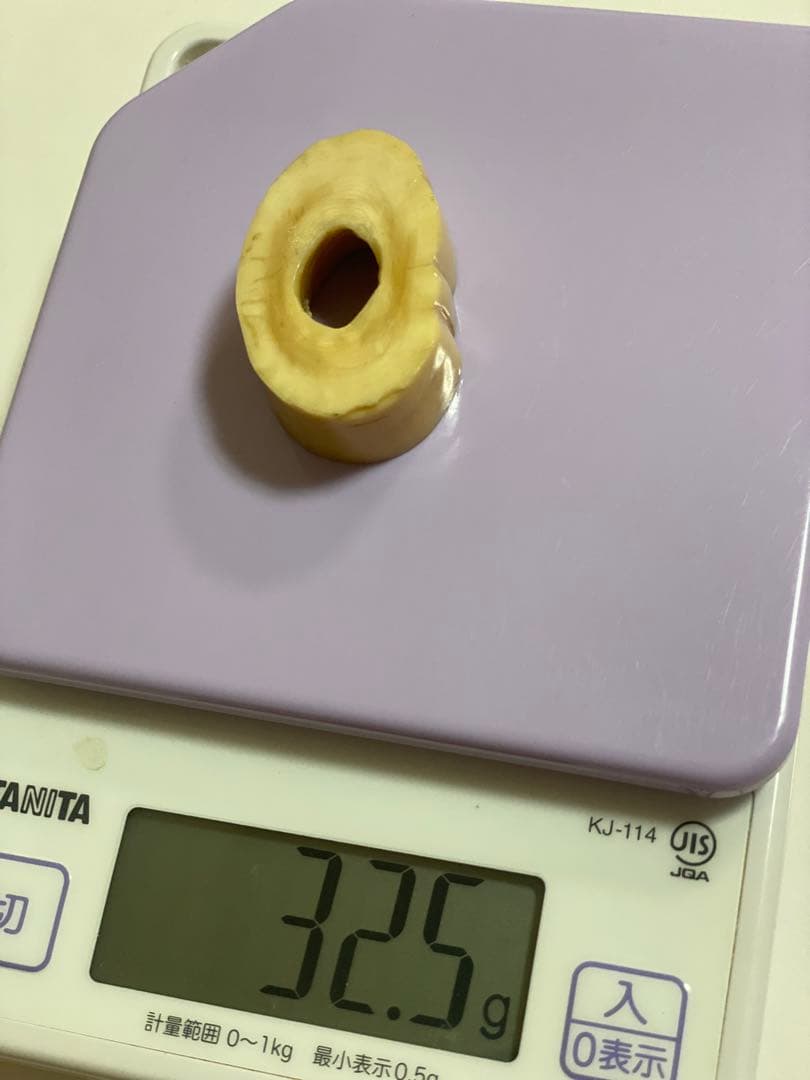 ウニコール　一角鯨牙　送料無料