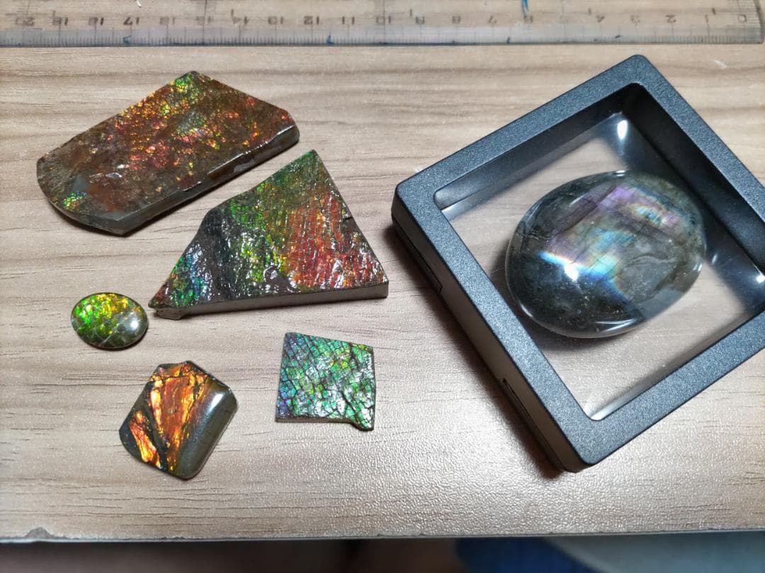 アンモライト 標本 両面 アンモナイト ドラゴンスキン おまけ