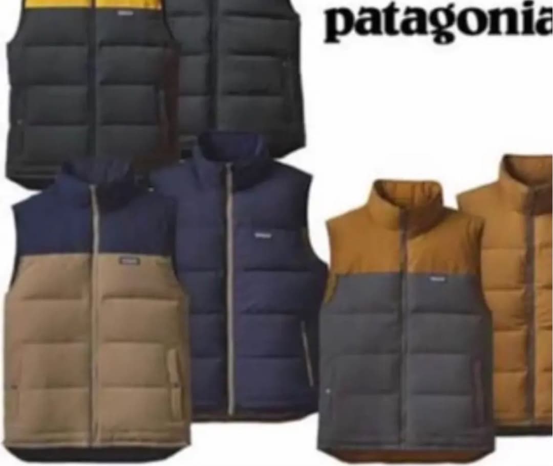 patagonia ビビー ダウン ベスト