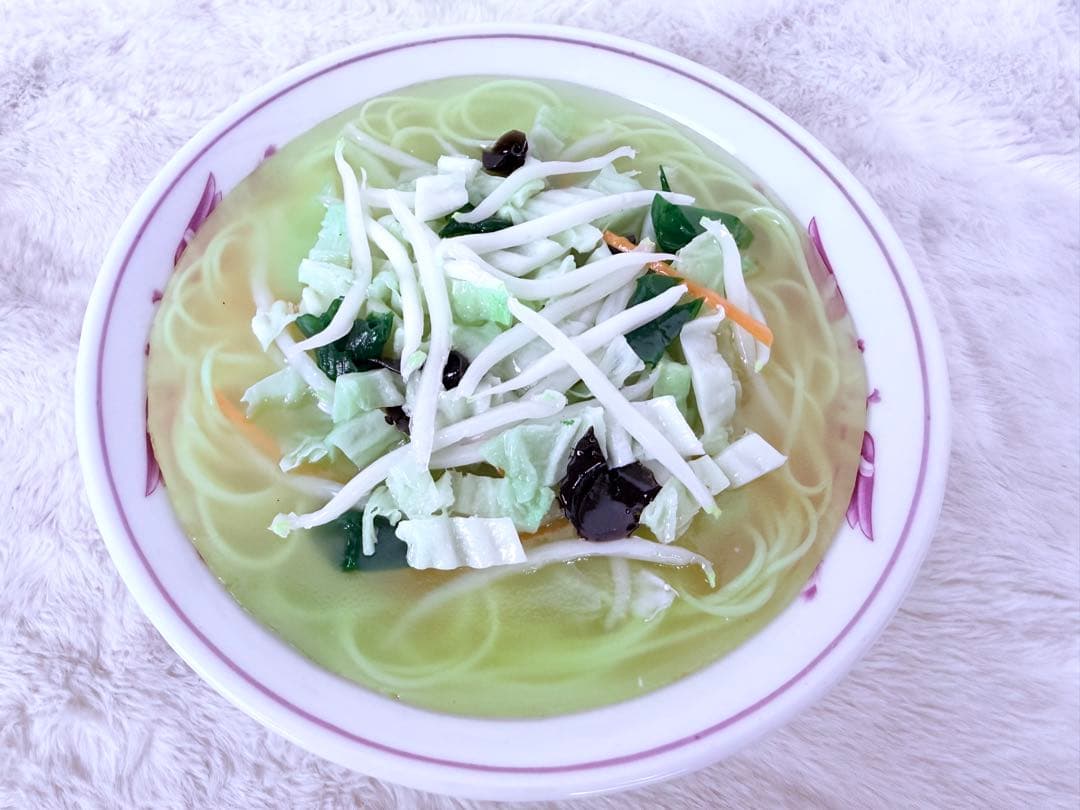 昭和レトロ タンメン 食品サンプル 直径約21.5cm 町中華 ディスプレイ用