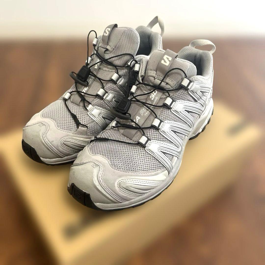 靴 SALOMON XA PRO 3D Alloy/Ftw Silver