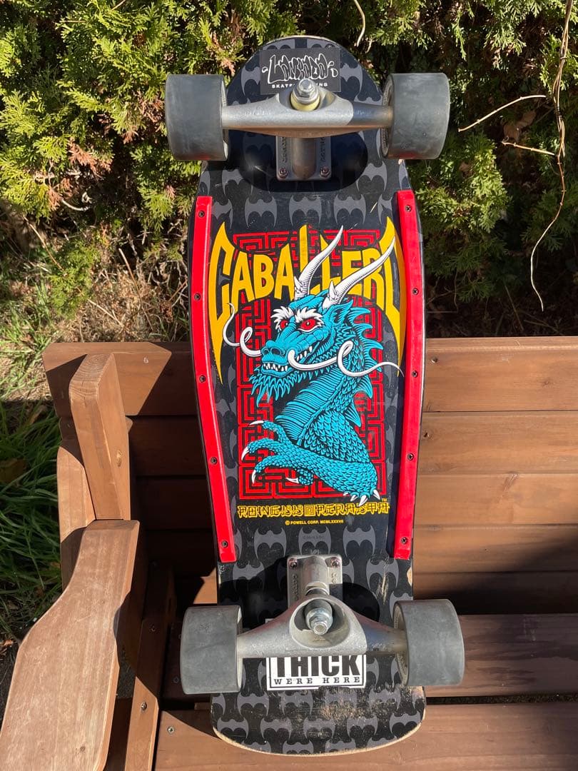 【本日20:00まで大セール】CARVER＆Powell Peralta
