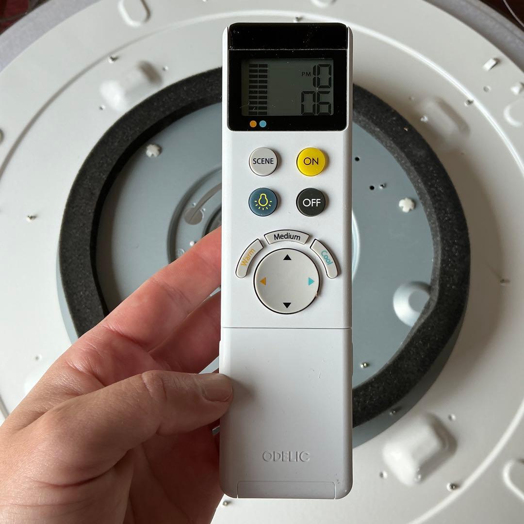 北欧風デザインが美しい　オーデリック LEDシーリングライト OL251456R