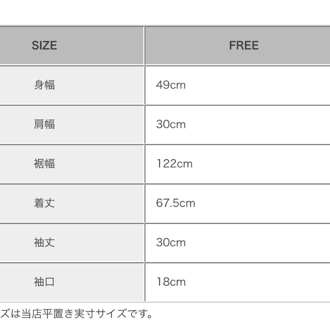 フィットモア　クリンクルシアーオーガンジーペプラムトップス