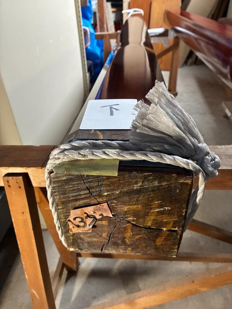 床柱　インドローズ　５寸（15ｃｍ）