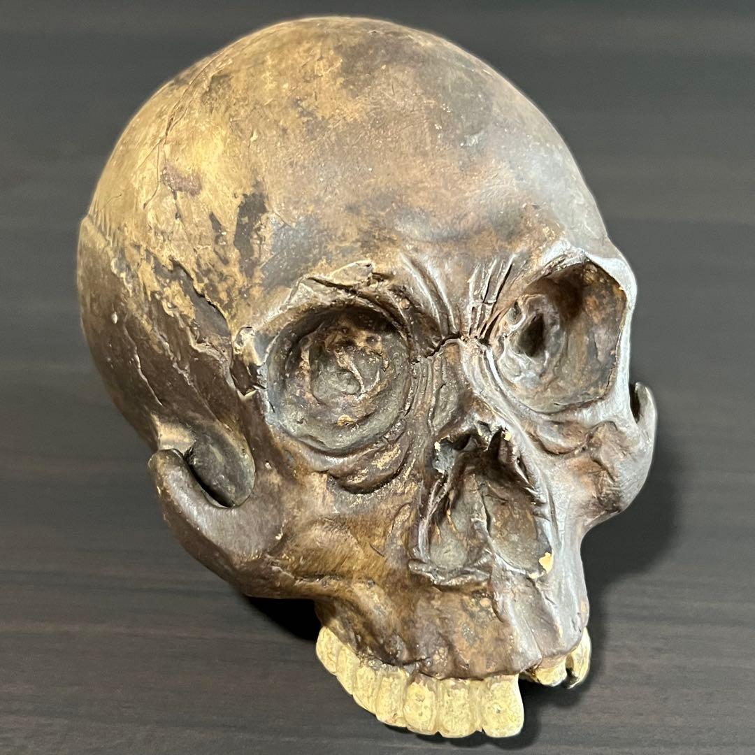 ビンテージ スカル 髑髏 陶磁器 野晒し しゃれこうべ ドクロ 置物 年代物