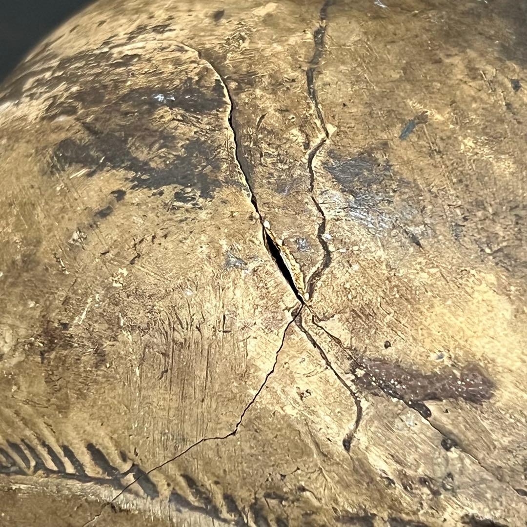 ビンテージ スカル 髑髏 陶磁器 野晒し しゃれこうべ ドクロ 置物 年代物