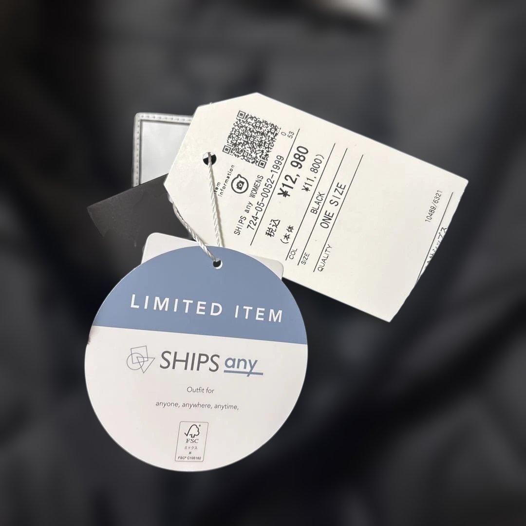 【SHIPS any別注】TAION:手洗い可能パイピング フード ジャケット