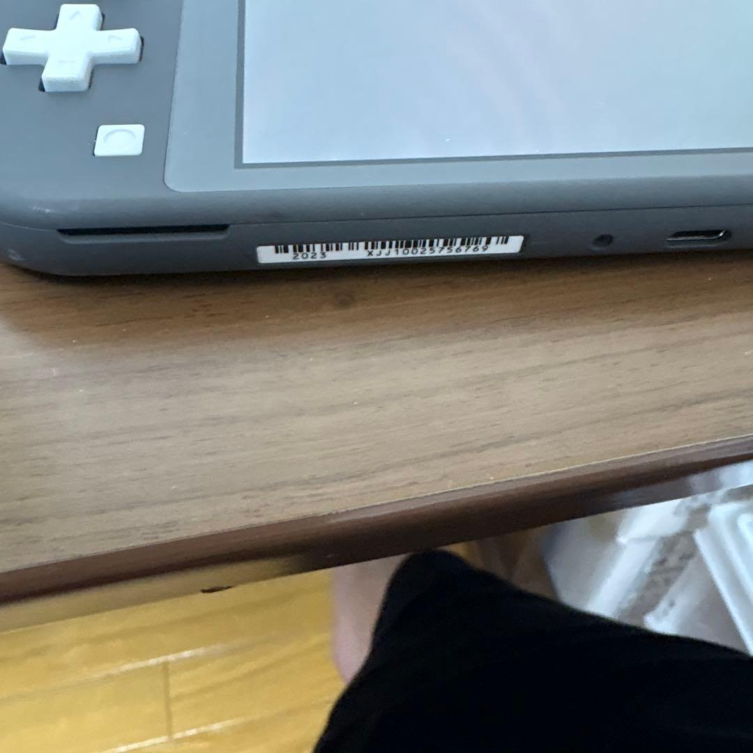 Nintendo Switch Light ニンテンドースイッチ　ライト　グレー