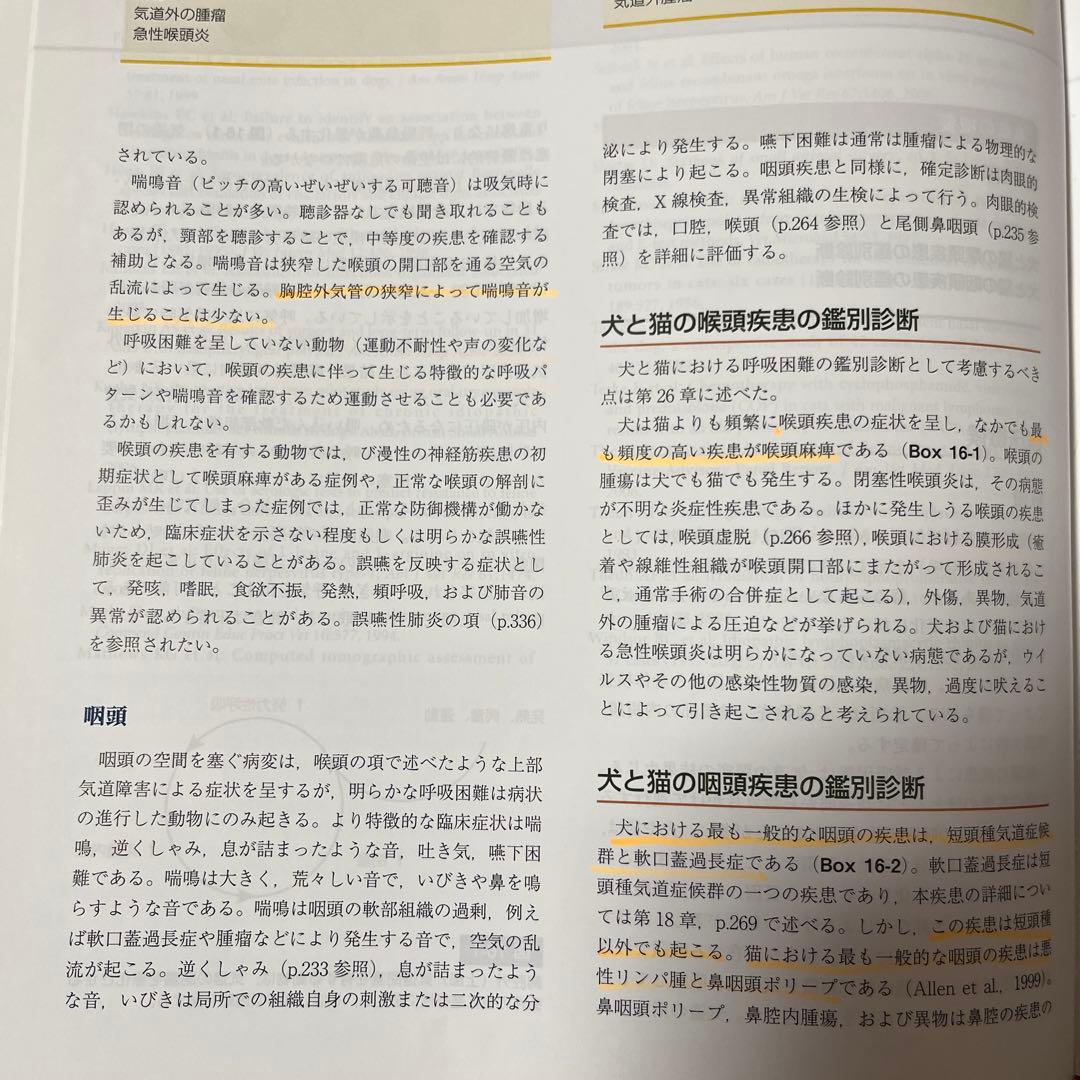 スモールアニマルインターナルメディスン　第4版　上下