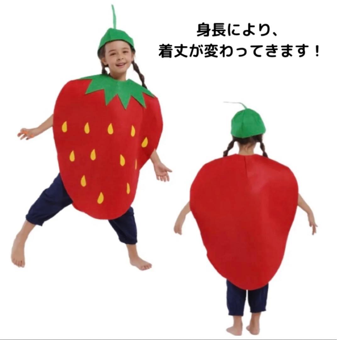 キッズ フルーツ コスプレ 苺 いちご ハロウィン セット販売 衣装 着ぐるみ