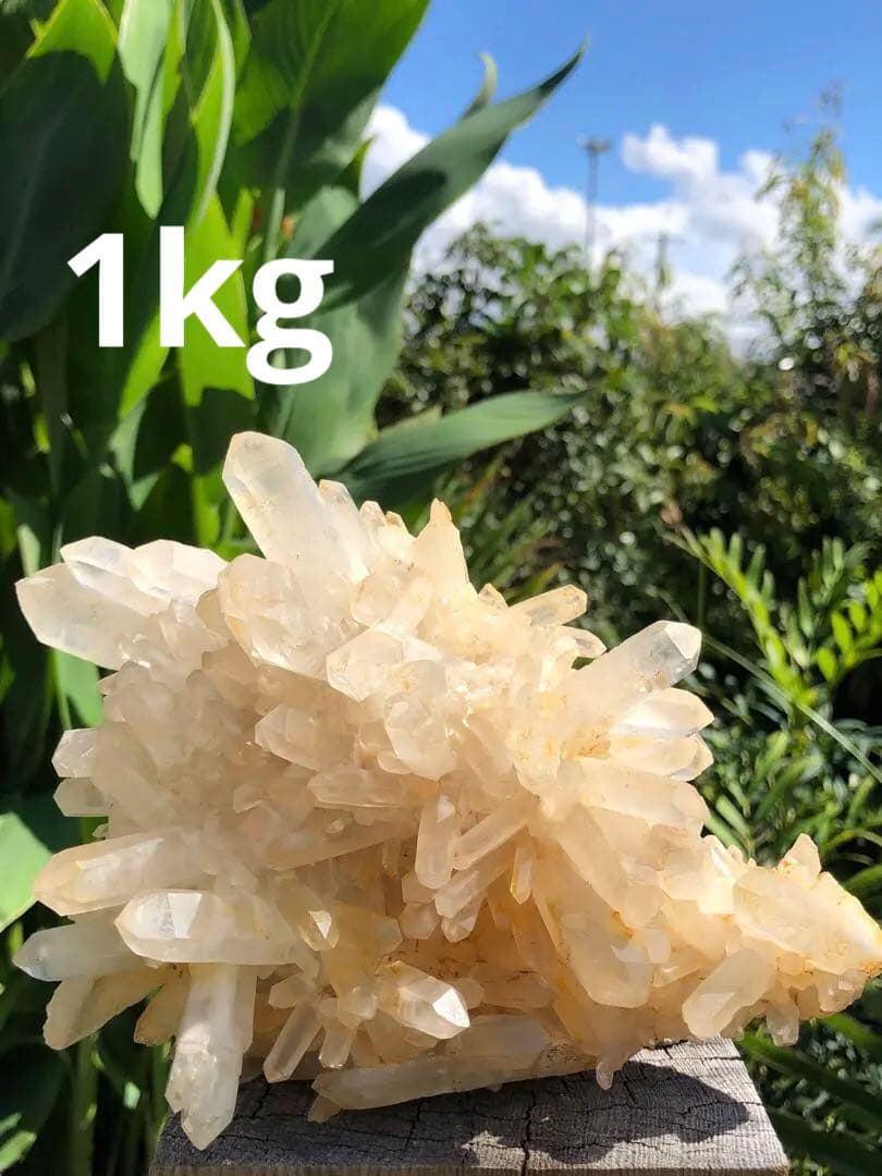 ❤️買い得　1kg 超レア　花形　強いパワー　極みの逸品　クラスター　水晶