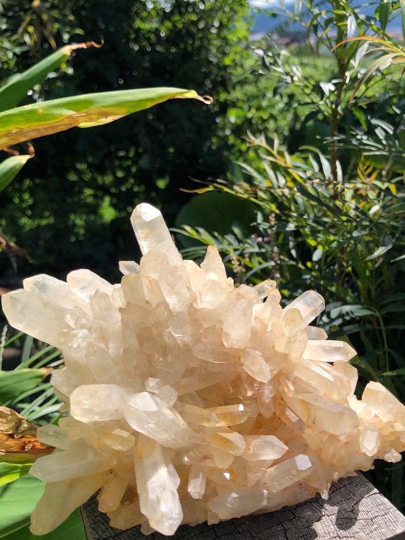 ❤️買い得　1kg 超レア　花形　強いパワー　極みの逸品　クラスター　水晶