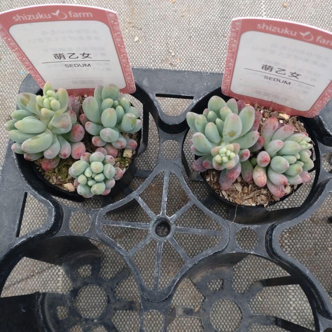 みゆきさん専用