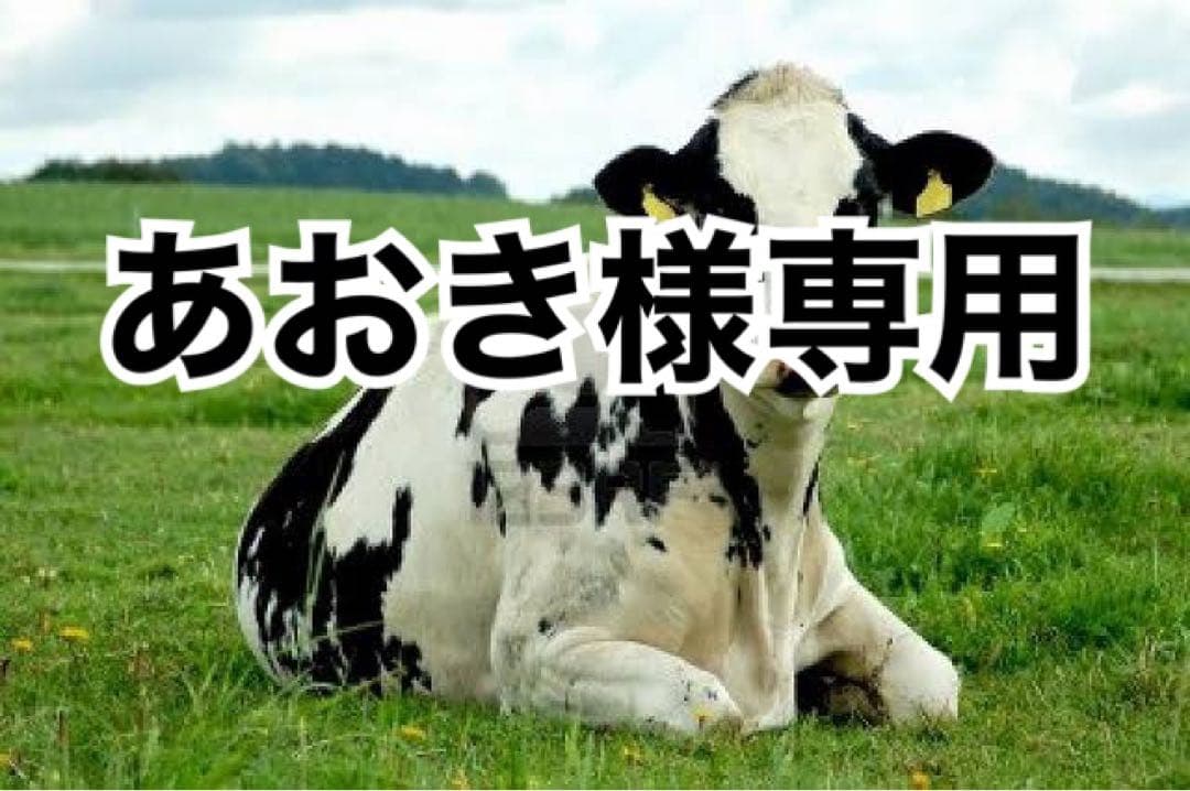 オレ芯白10、赤10、白10、グレー10