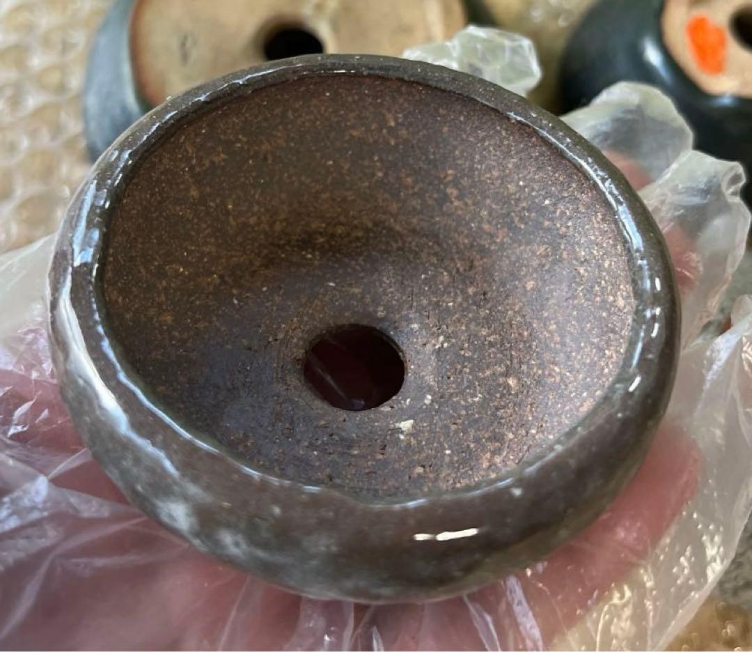 松寿　小品　盆栽鉢　レトロ　5個セット　(A5)