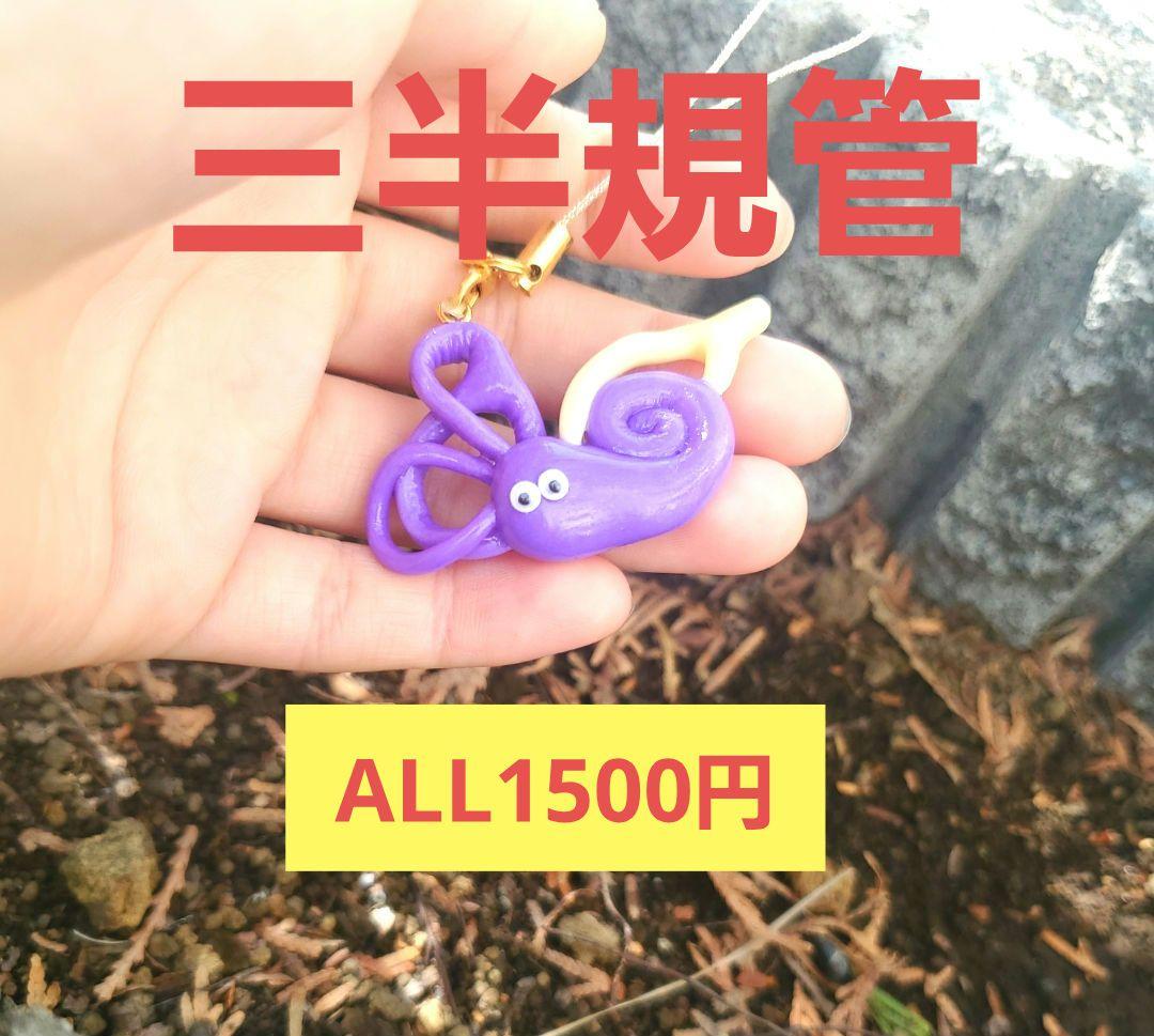 三半規管　臓器　手作り　キーホルダー　看護　オペ