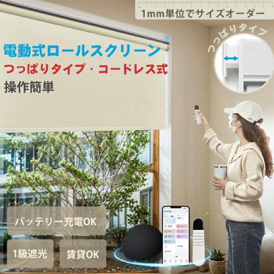 KeeGo 電動式ロールスクリーン 突っ張り 幅約60cm 2個セット