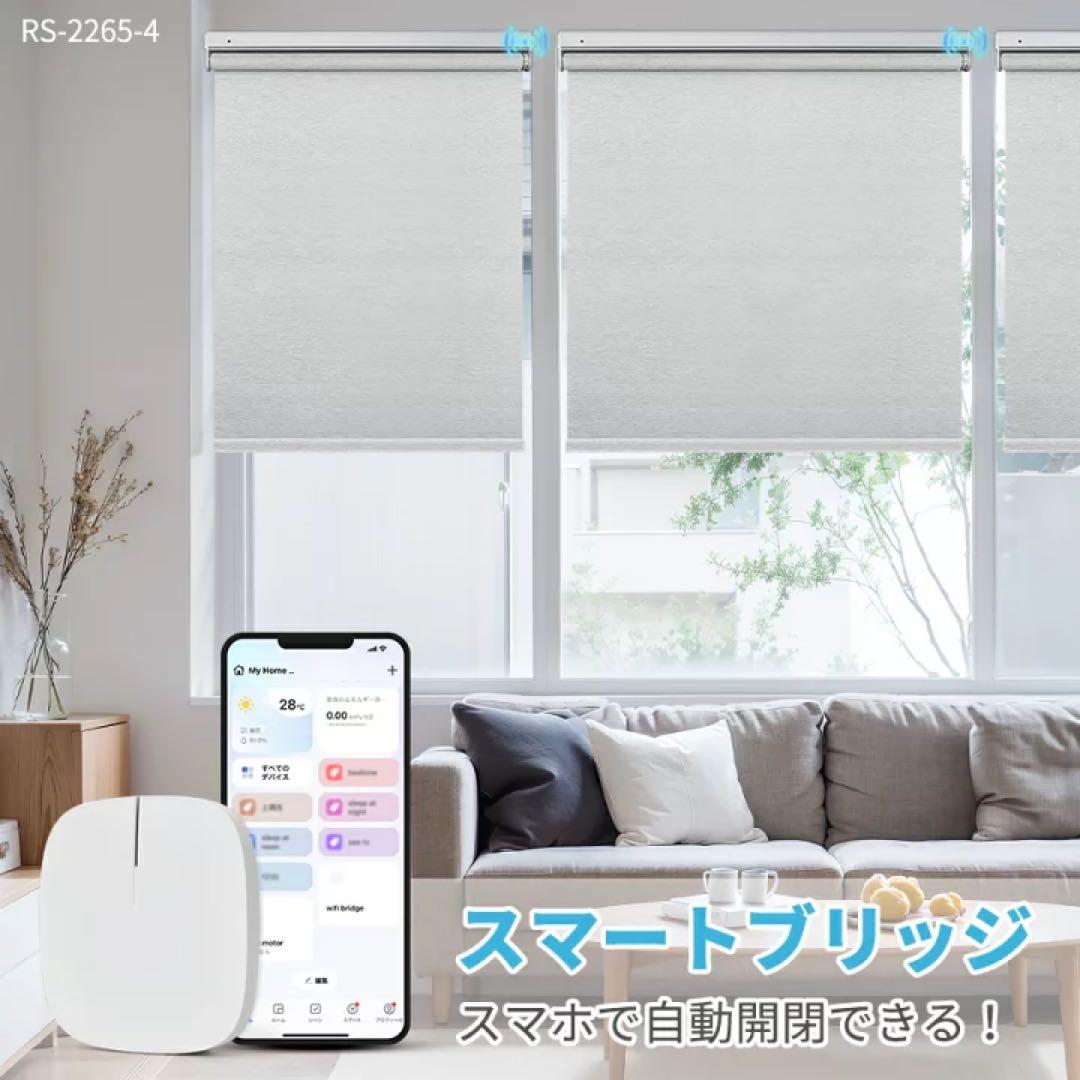 KeeGo 電動式ロールスクリーン 突っ張り 幅約60cm 2個セット