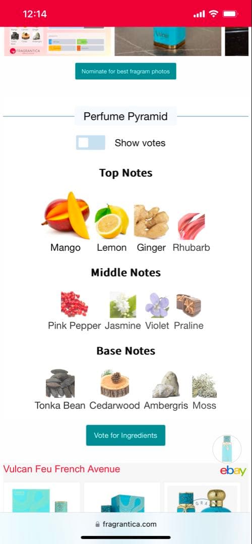 香水(男性用) French Avenue Vulcan Feu